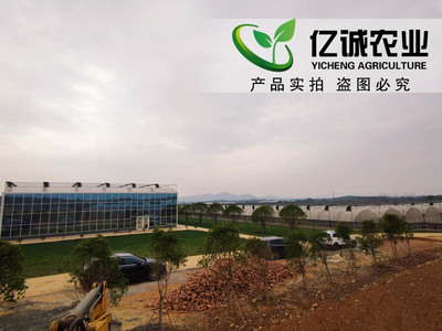 溫室大棚制造廠家施工現場案例-溫室工程出口圖片_青州市億誠農業科技
